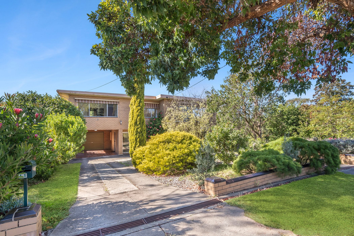 11 Lichen Grove, Highton VIC 3216, Highton - Image 1