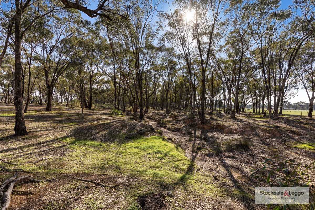 11e Jobes Lane, Woodvale VIC 3556, Woodvale - Thumbnail 7